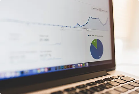 Our Comprehensive SEO Approach Is Your
                      - 蓝鲸体育